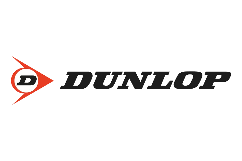 Wholesale of tires (Dunlop tires)